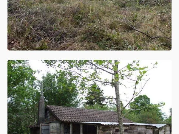 Terrain 2119 m²