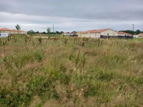 Terrain 877 m²