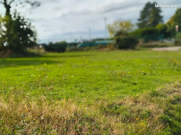Terrain non viabilisé