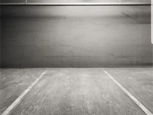 Loue parking