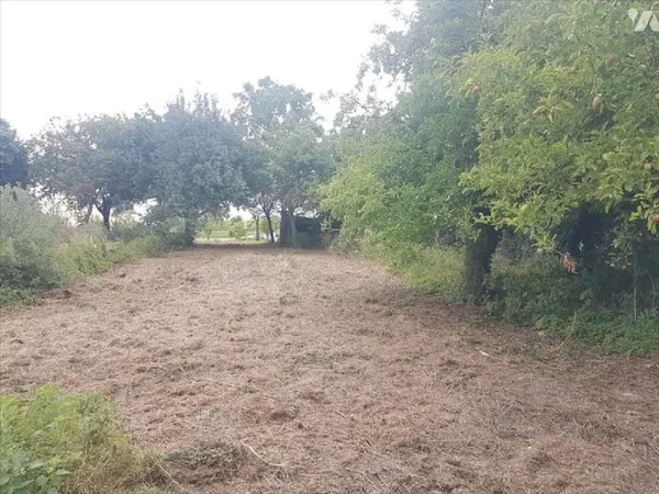 Terrain 1137 m²