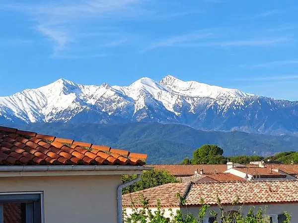 Grande maison 2 logements indépendants - 221 m² - Néfiach