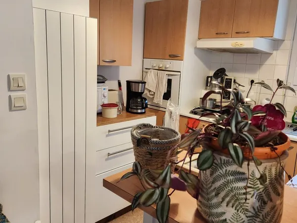 Appartement T2 Domloup Meublé ou Vide