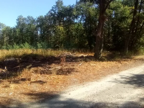 Bois sur route Selles sur cher de 500 a 16000euros