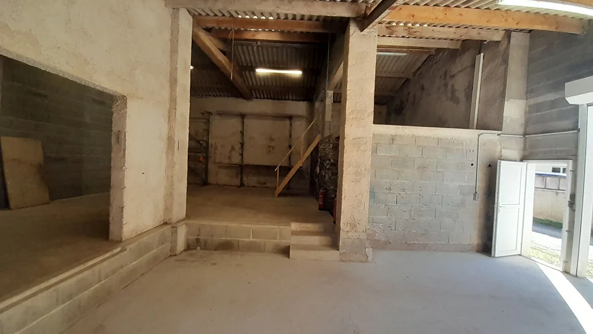 Photo 3