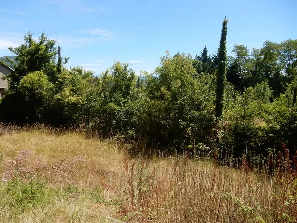 Terrain de 2029m² constructible - Non Viabilisé