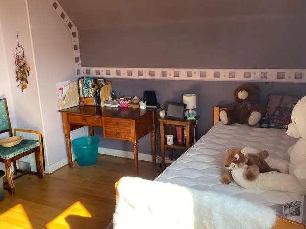 Yzeure centre coloc dans grande propriété 333