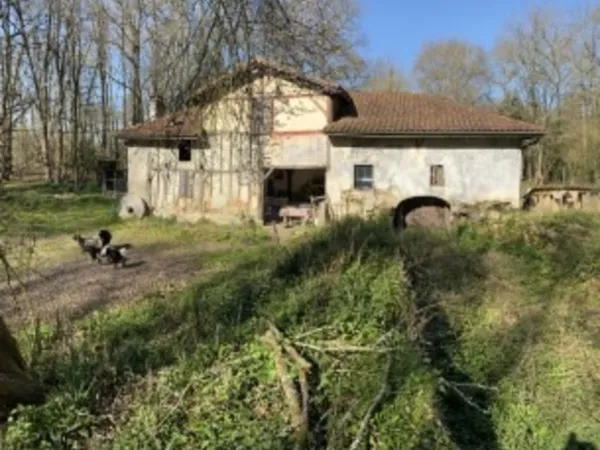 Moulin 7 pièces avec chênaie d'environ 6 hectares