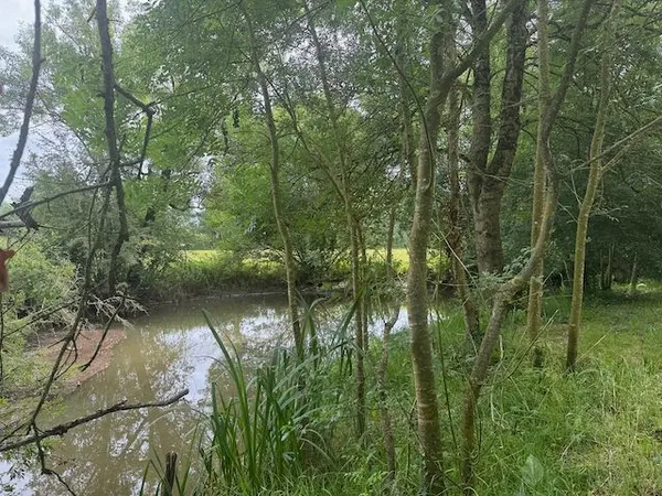 Terrain de loisirs en bord de rivière négociable - THIRÉ - 85210