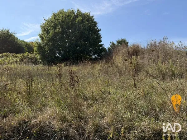 Terrain 443 m²