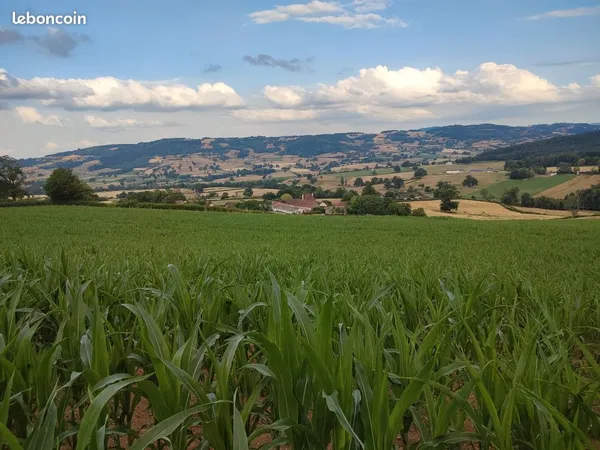 Terrain constructible 2793 m2 - Bourgogne du Sud