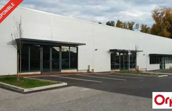 Local commercial 252 m²