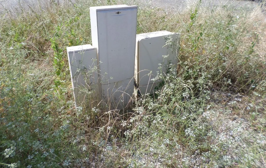 Photo 2