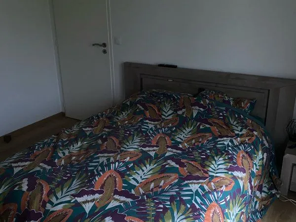 Collocation en Maison