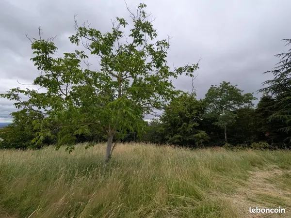 Terrain 906 m² Villemontais