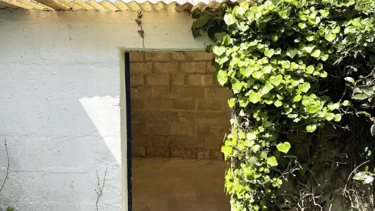Photo 14