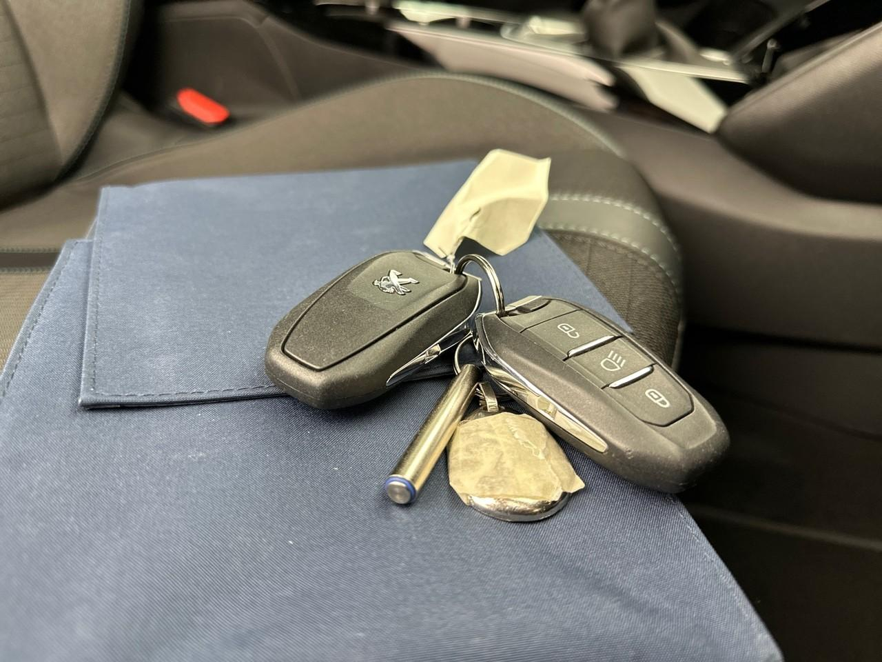 Peugeot 208 bluehdi 100 s&s bvm6 allure business — photo 33