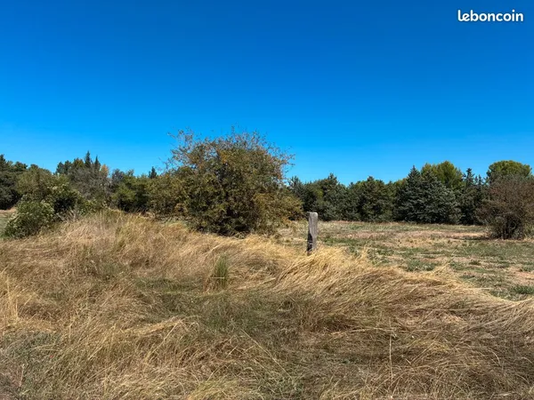 Location terrain agricole