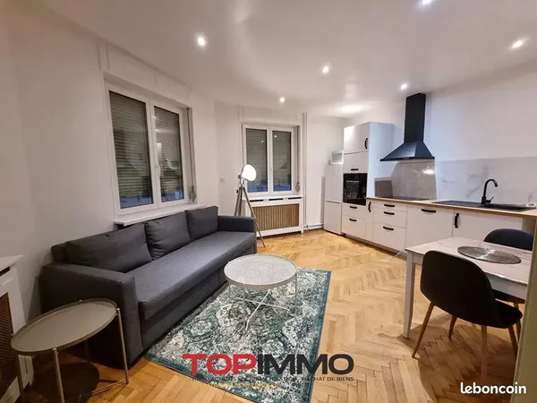 Immeuble de rapport 13 pièces 300 m²