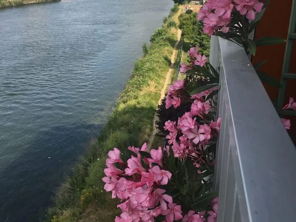 Appartement - 71.16m² - Rouen