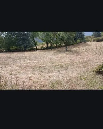 Location terrain
