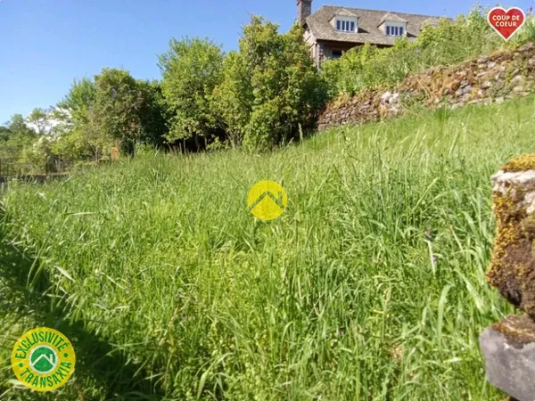 Terrain à bâtir Vente Pierrefort  363m² 10000€
