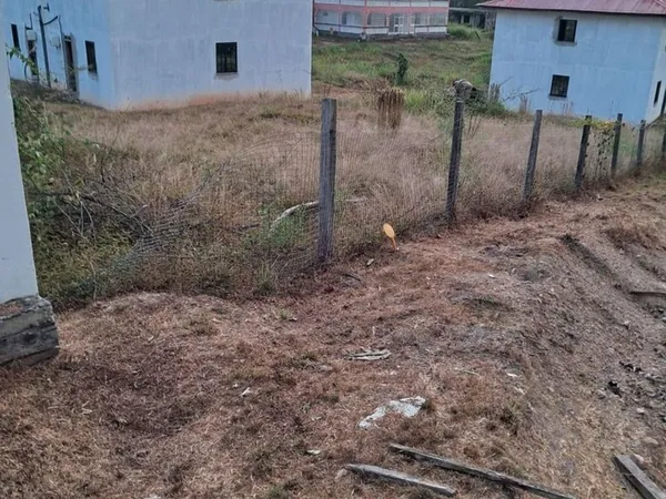 à16.000€ l'appartement en Guyane française