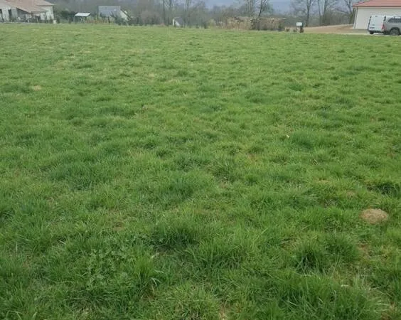 Terrain 1700 m²