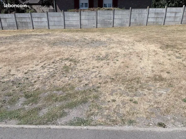 Terrain constructible