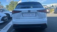 Lexus Nx 300h 4WD F SPORT Executive MM19 — photo 6