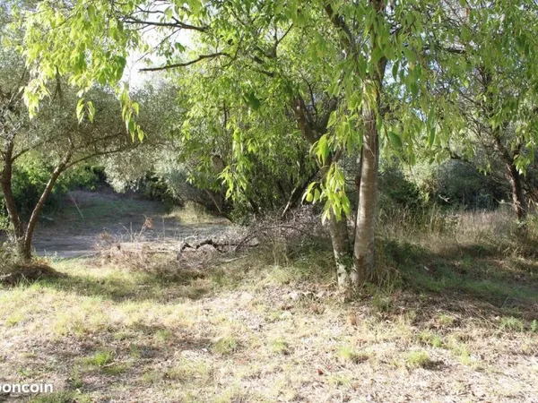 Terrain 5266 m²