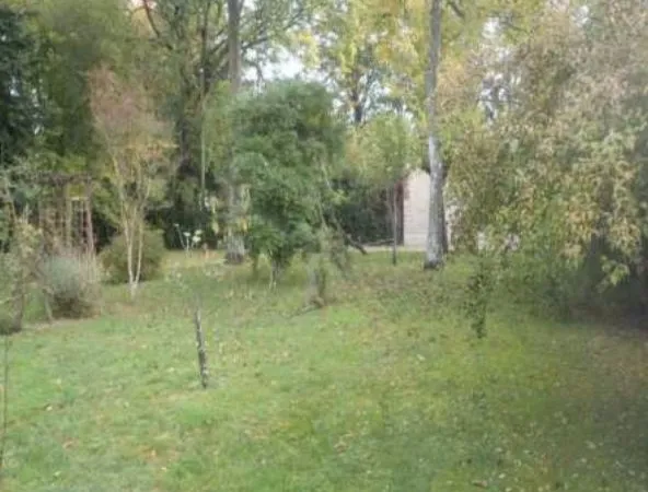 Terrain à bâtir verdoyant