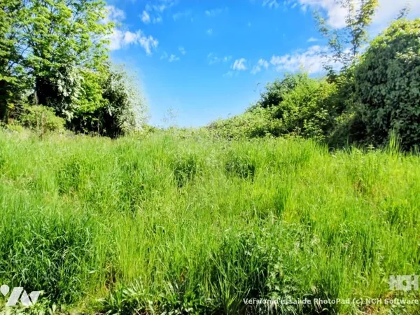 Terrain 641 m²