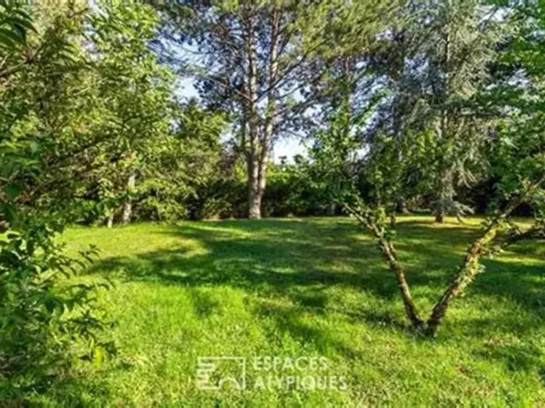 Terrain 2000 m²