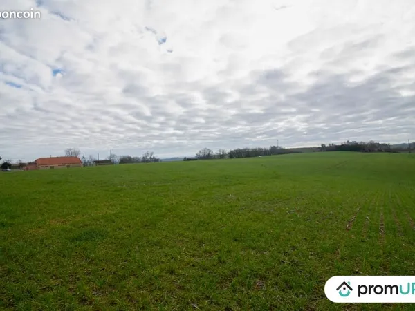 Terrain agricole 8 000 m² Sempesserre