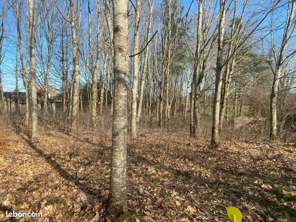 Terrain 2 590 m² Bonnut