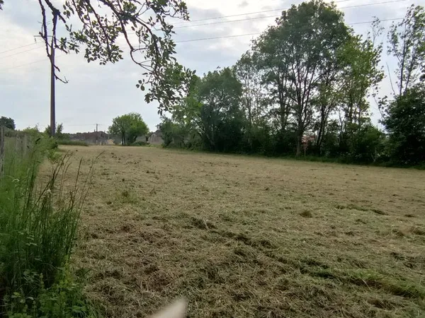 Vente terrain constructible - 1916 m² - PC Purgé