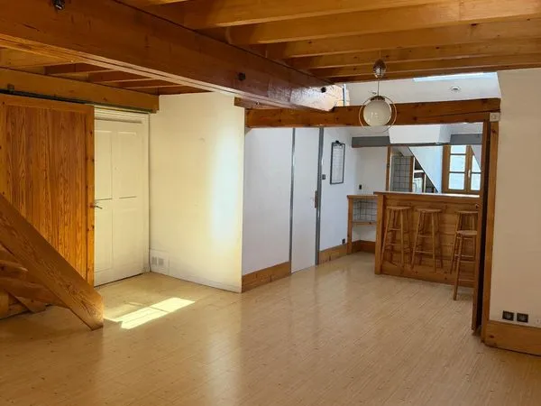 Duplex lumineux hyper centre 60m2