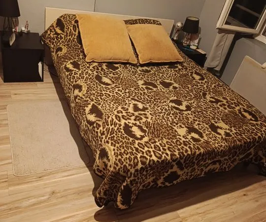 Chambre de 10m2 à louer sur Saint-Maurice-de-Lignon
