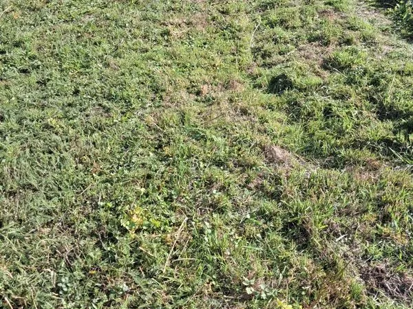 Terrain a batir