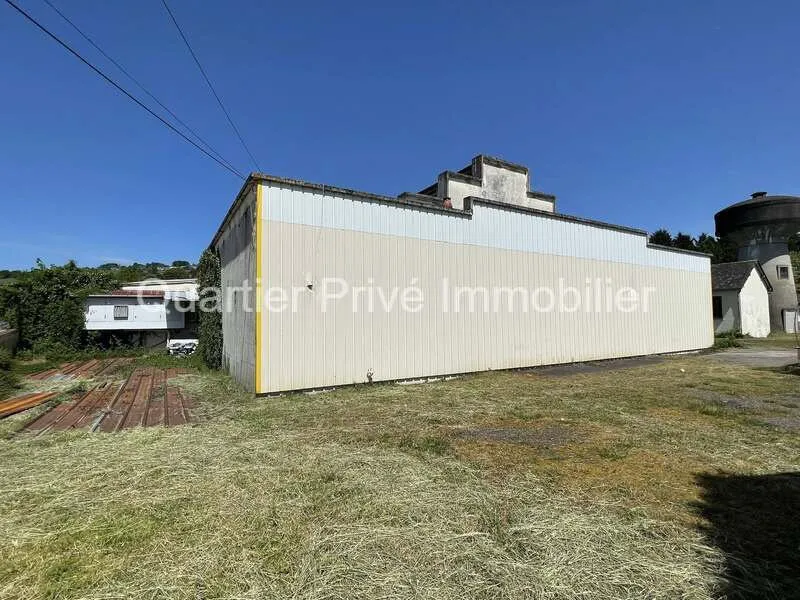 Photo 4