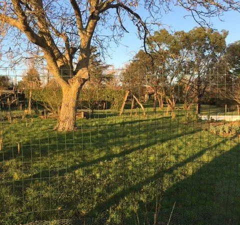 Terrain en individuel 901 m²