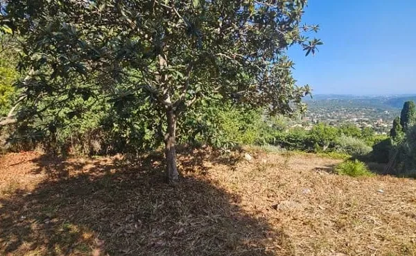 Terrain 1039 m²