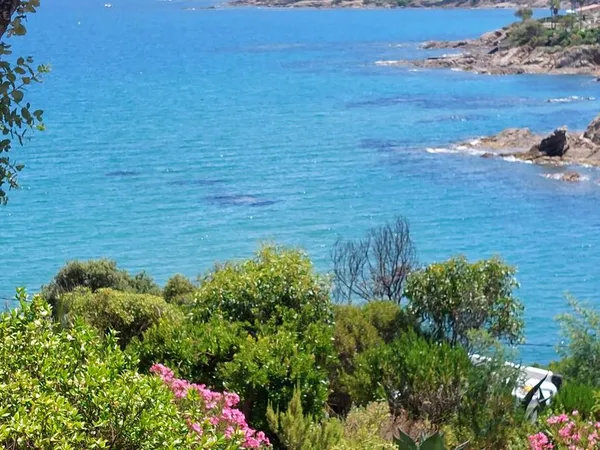 Appartement de 32m2 à louer sur Fréjus