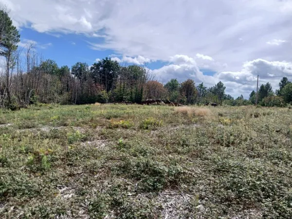 Terrain 2300 m²