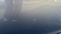 Peugeot 308 1.2 PureTech 130ch E6.c S&S GT Line EAT8 — photo 19