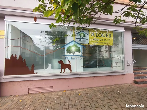 Local 146 m² Bouxwiller