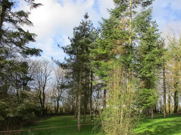 Terrain 2200 m²