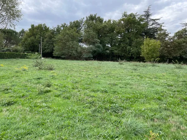 Terrain 1009 m²