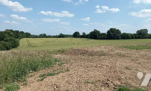 Terrain 1397 m²